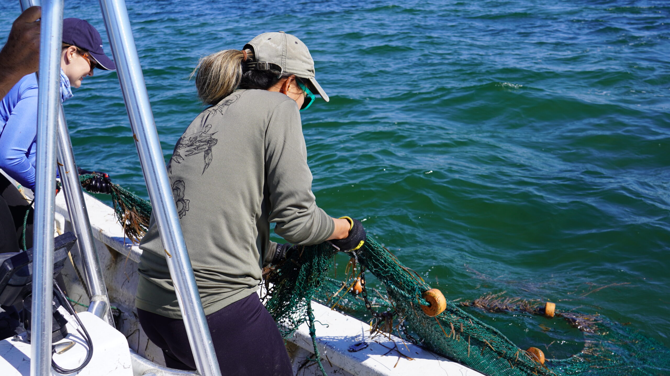 Two researchers hauling in a trawl net over the side of a boat