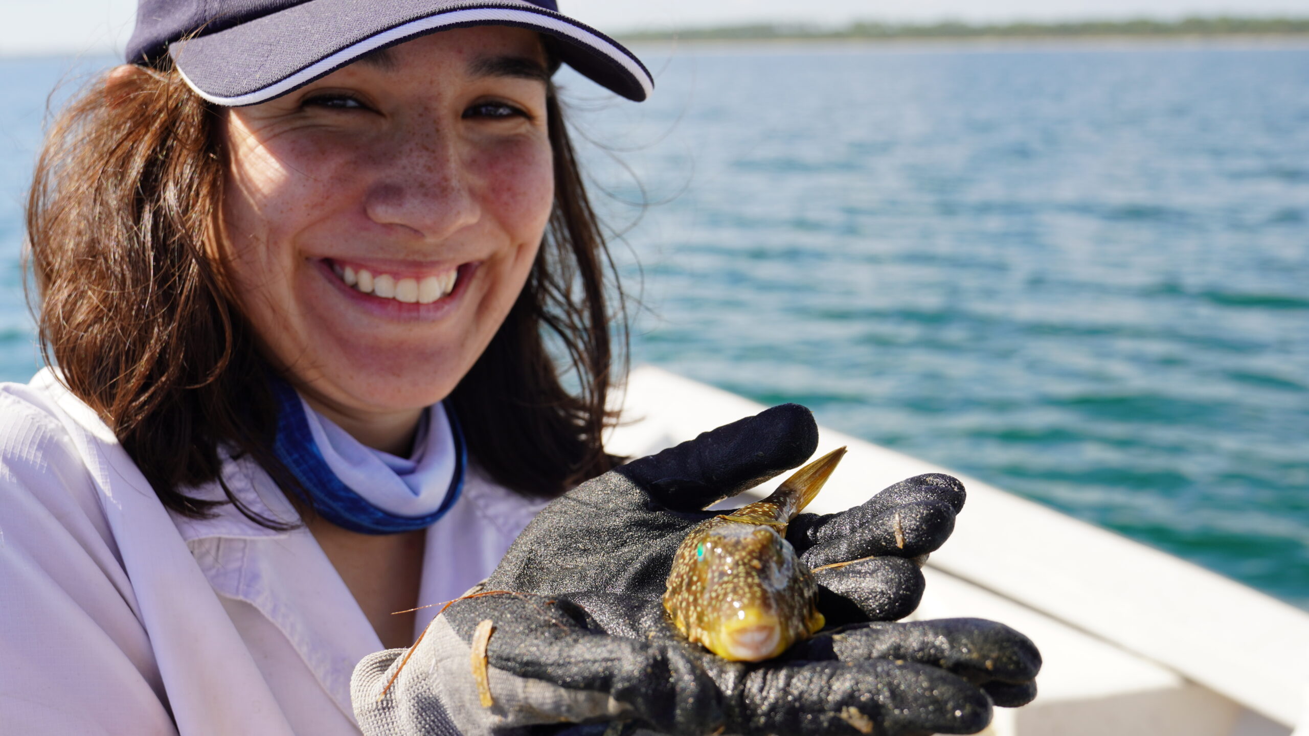 Researcher smiling and holding a southern pufferfish