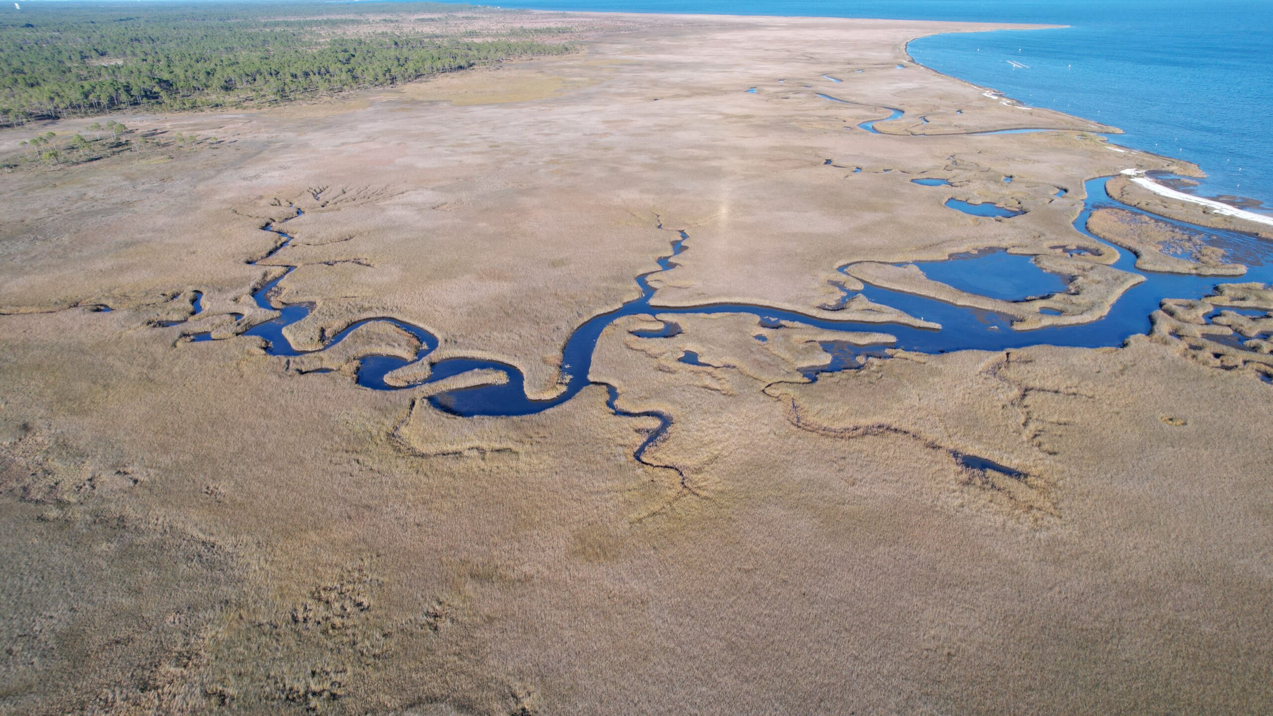 Aerial photo of a large sweep marsh with a tidal creek