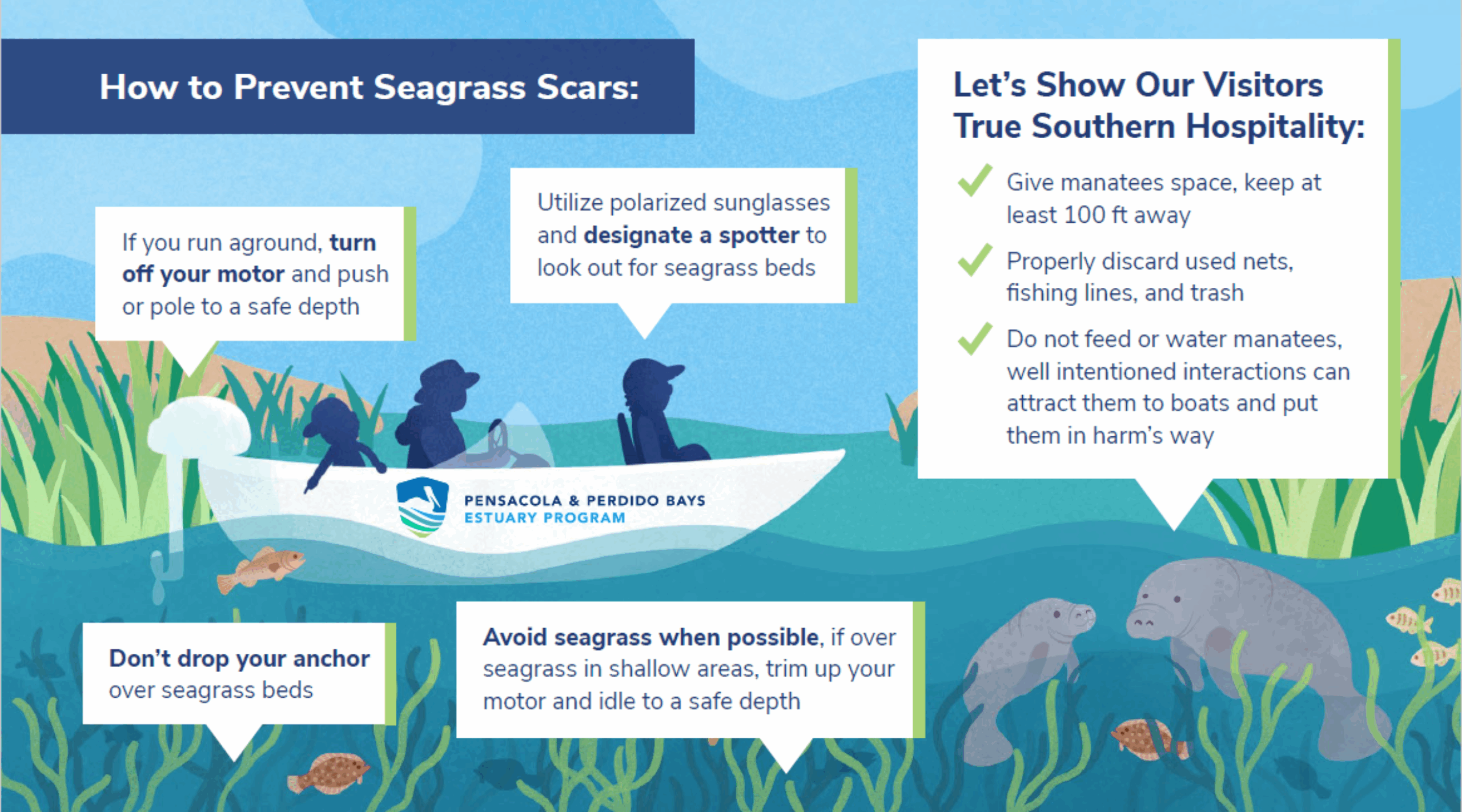 Infographic showing manatee and seagrass safe boating tips