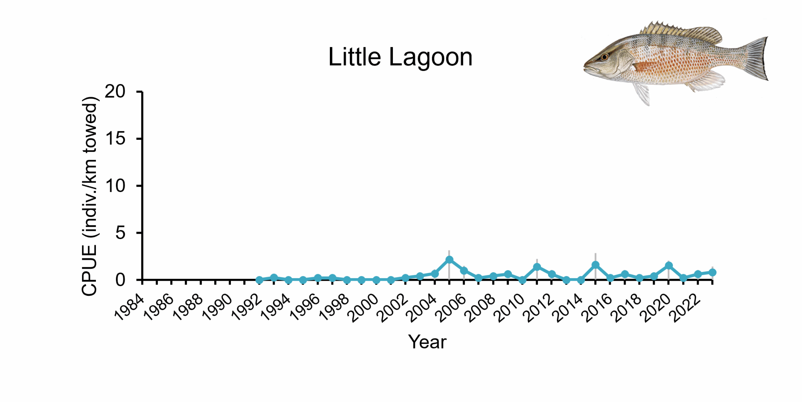 Catch per unit effort of Gray Snapper in Little Lagoon from 1984-2023