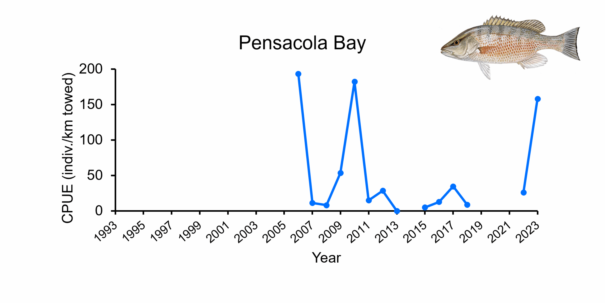 Catch per unit effort of Gray Snapper in Pensacola Bay from 1993-2023