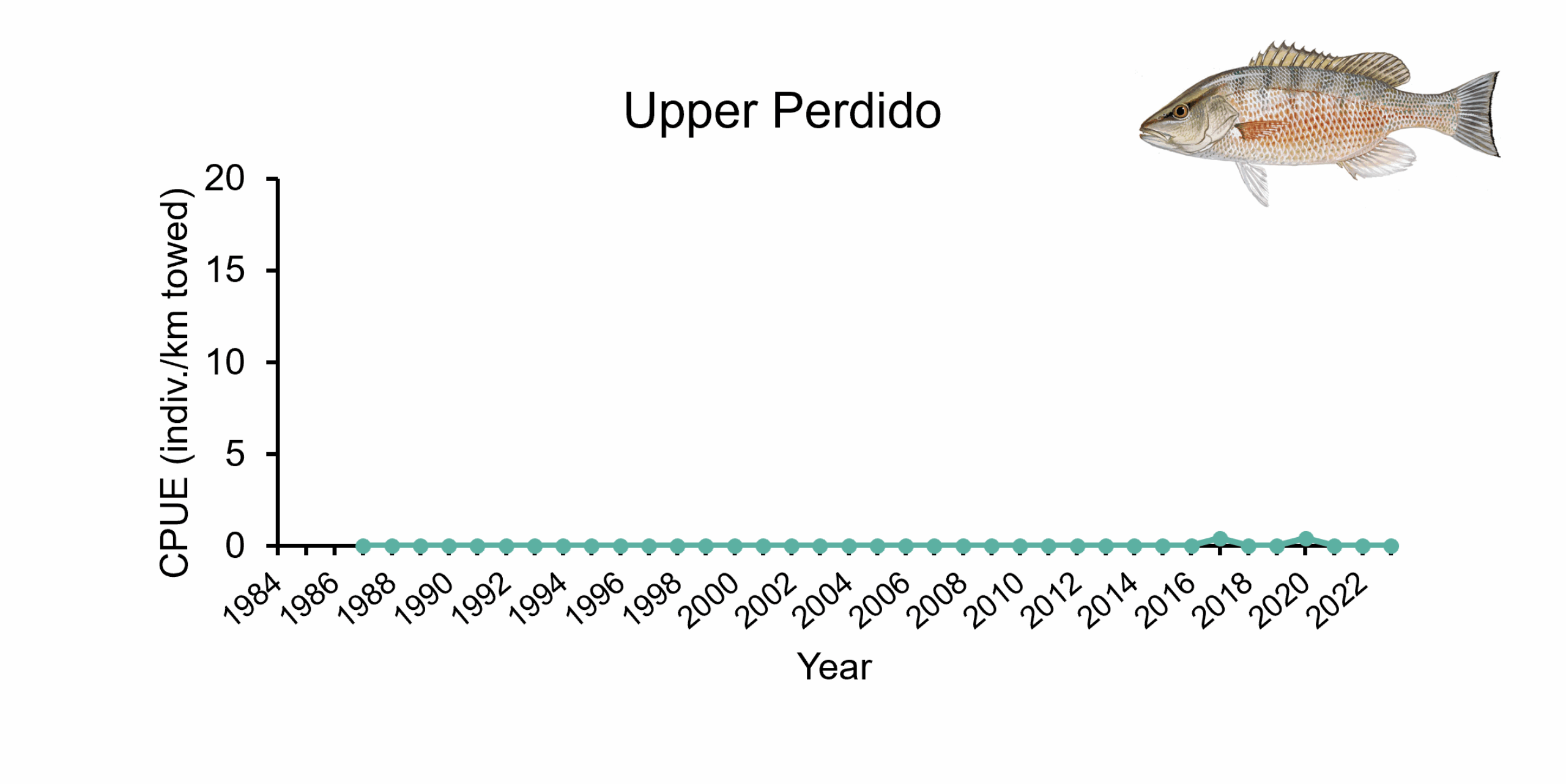 Catch per unit effort of Gray Snapper in Upper Perdido from 1984-2023