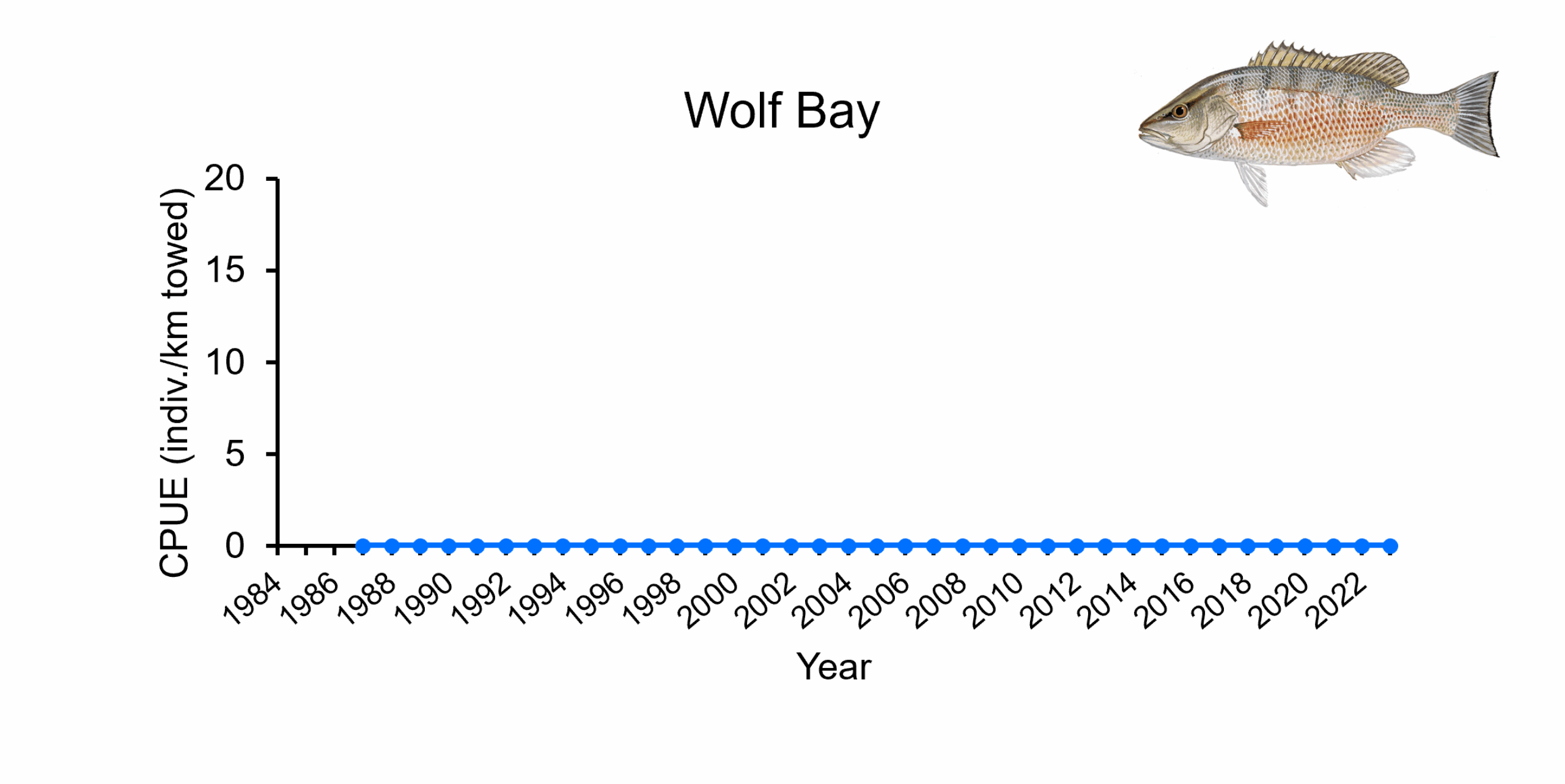 Catch per unit effort of Gray Snapper in Wolf Bay from 1984-2023